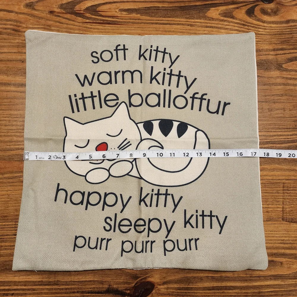 Big Bang Theory Soft Kitty Zippered Pillow Case and Pillow NWOT